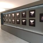 "Il fiume Adda" mostra a Palazzo delle Paure di Lecco. In occasione del PhotoFestival 2020